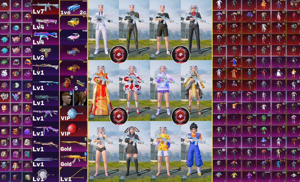 TTQ