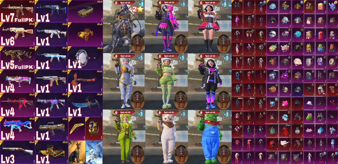 TTQ