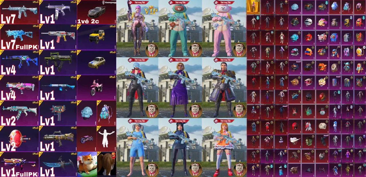 TTQ