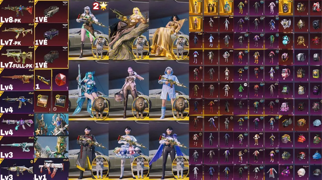 TTQ