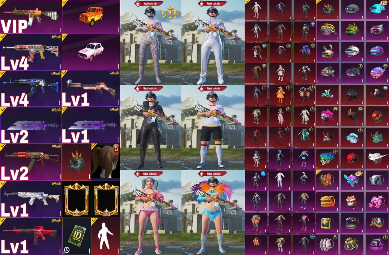 TTQ