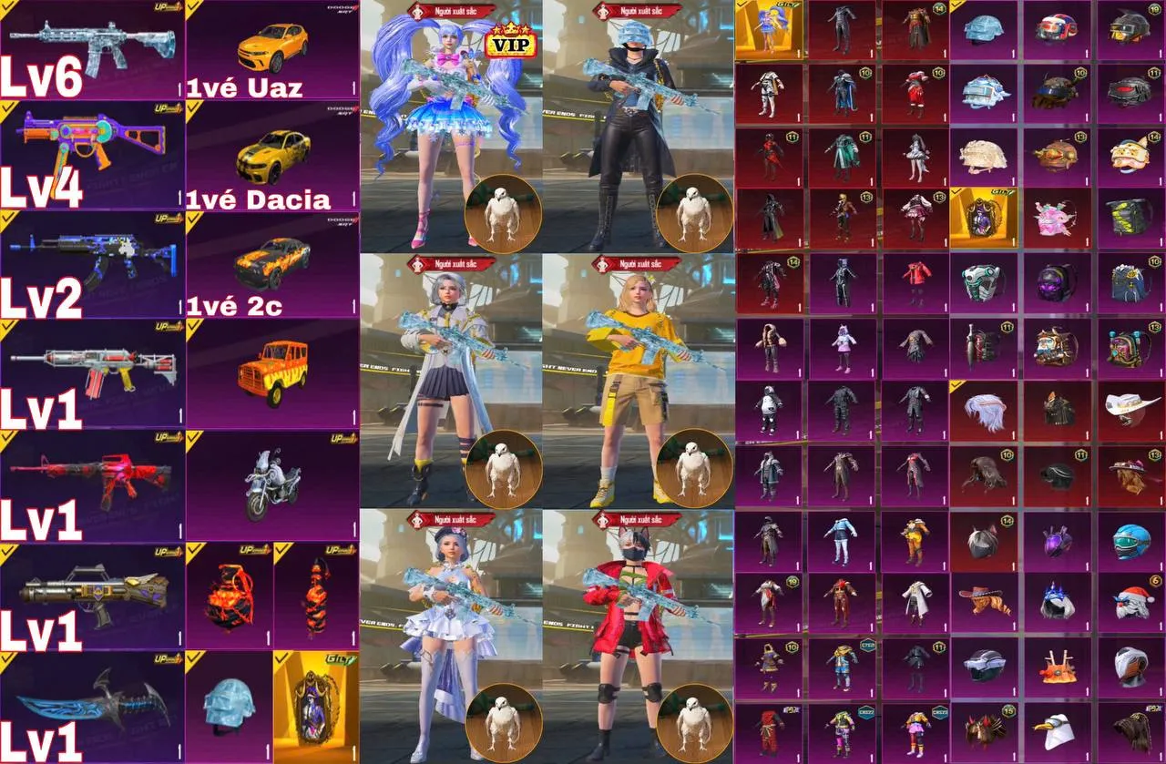 TTQ