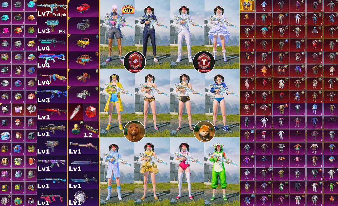 TTQ