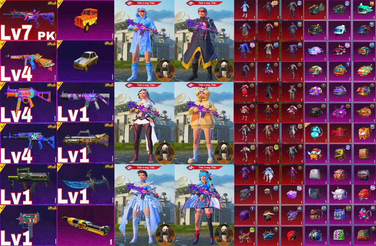 TTQ