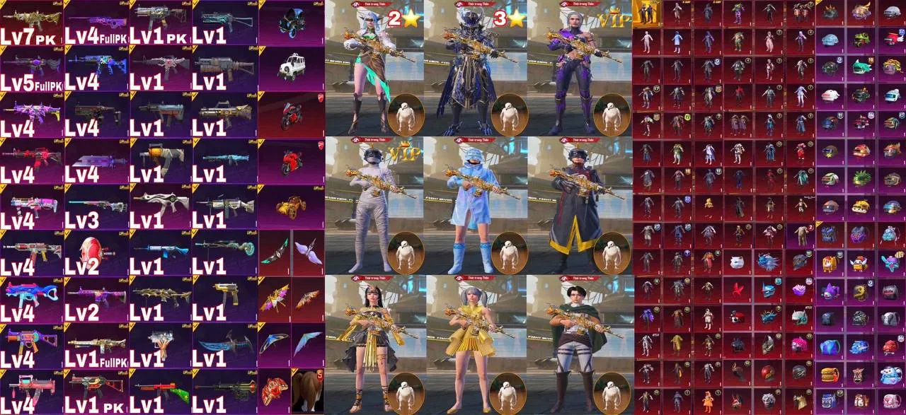 TTQ
