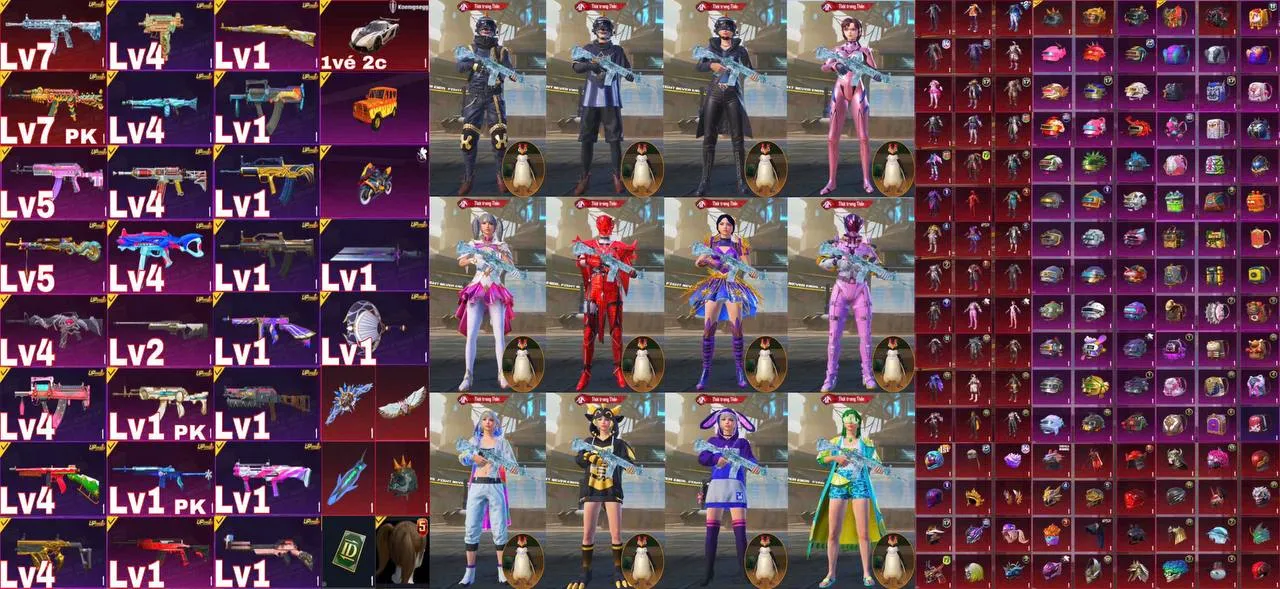 TTQ